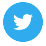 twitter-icon